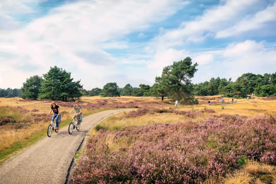 national-park-de-hoge-veluwe-gelderland-day-trips-jutberg-ardoer